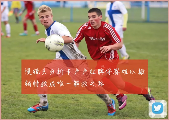 慢镜头分析卡卢卢红牌停赛难以撤销特赦成唯一解救之路
