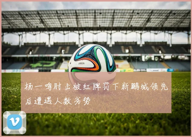 杨一鸣肘击被红牌罚下新鹏城领先后遭遇人数劣势