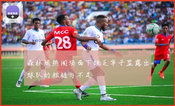 森林狼热闹场面下缺乏华子显露出球队的粗糙与不足