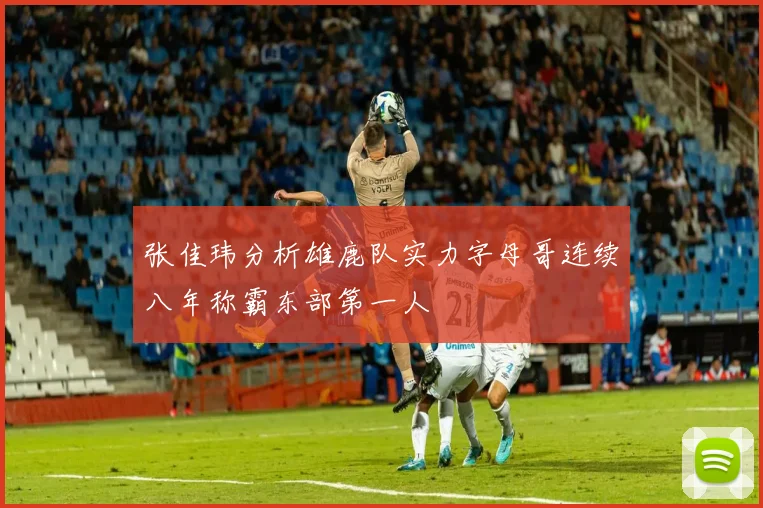 张佳玮分析雄鹿队实力字母哥连续八年称霸东部第一人