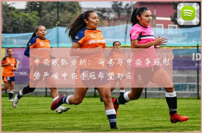 申花跟队分析：海港与申花争冠形势严峻申花夺冠希望渺茫
