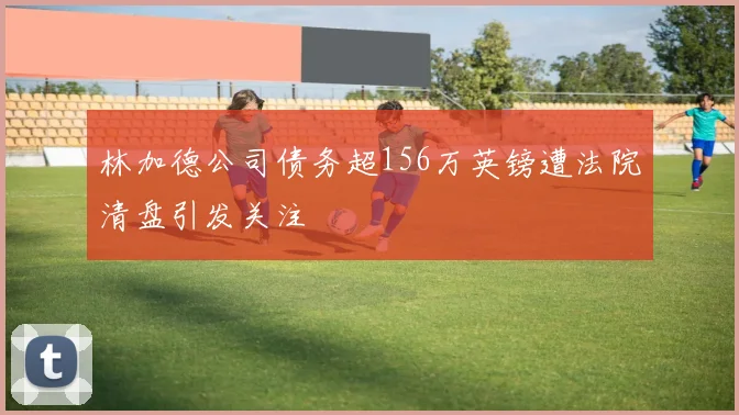 林加德公司债务超156万英镑遭法院清盘引发关注
