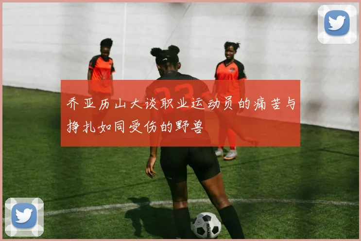 乔亚历山大谈职业运动员的痛苦与挣扎如同受伤的野兽